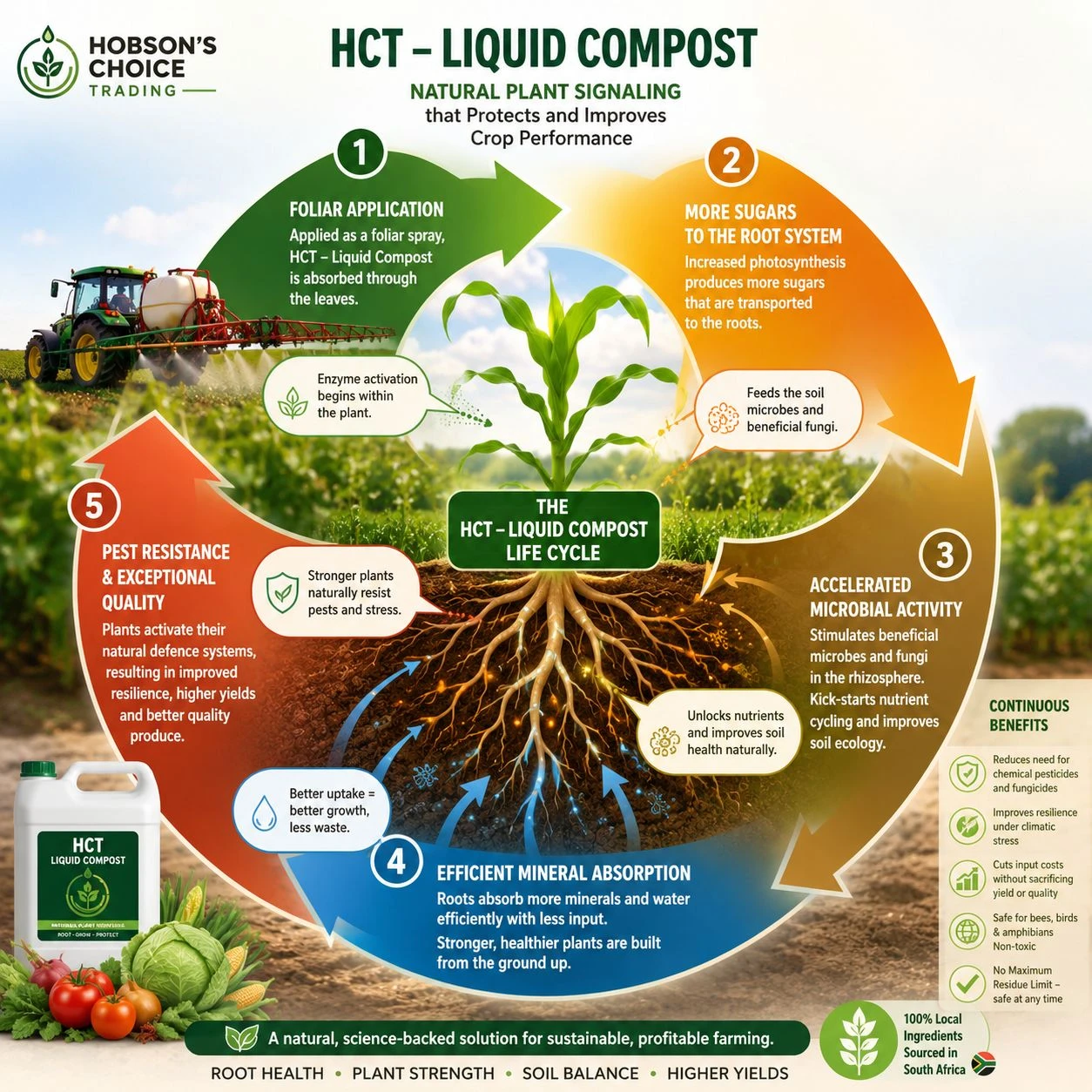 HCT Liquid Compost life cycle — foliar application, more sugars to the root system, accelerated microbial activity, efficient mineral absorption, pest resistance and exceptional quality